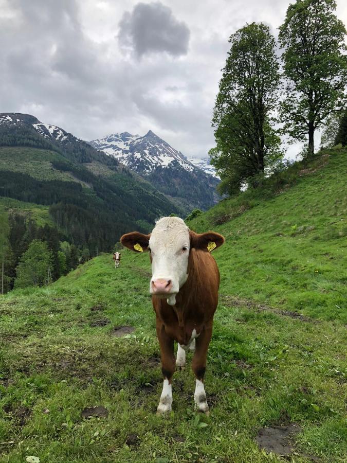 Zauneralm 아이히 외부 사진